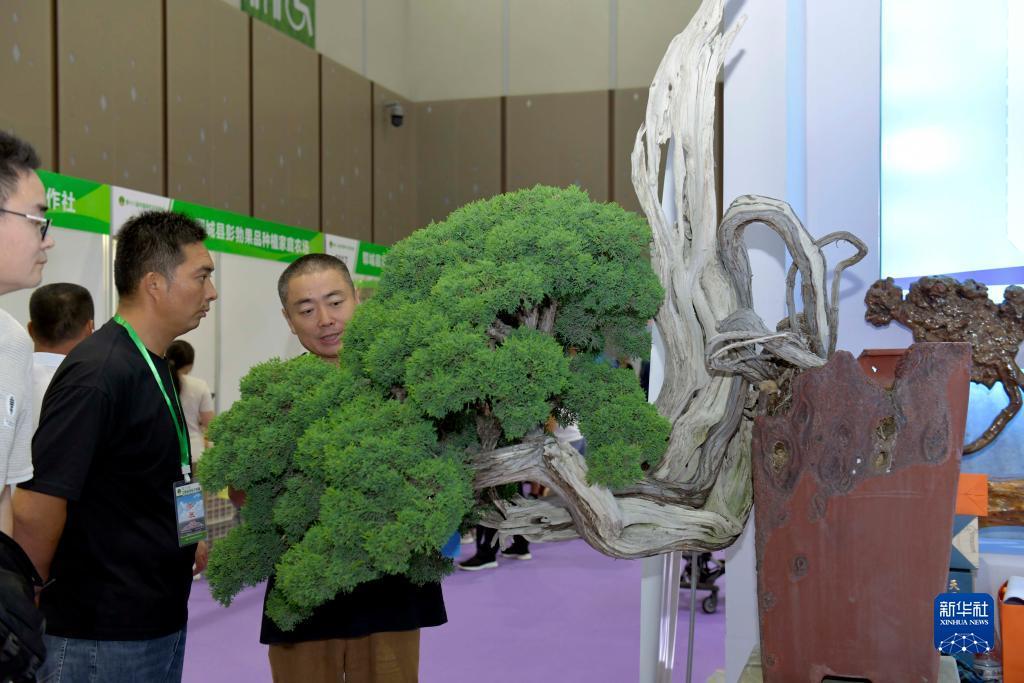 菠菜赚钱平台